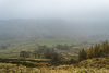 Swindale